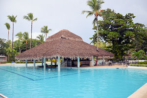 Poolbar im Grand Palladium Punta Cana