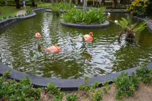 Gartenanlage im Grand Palladium Punta Cana