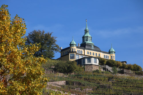 Herbst am Spitzhaus, Radebeul