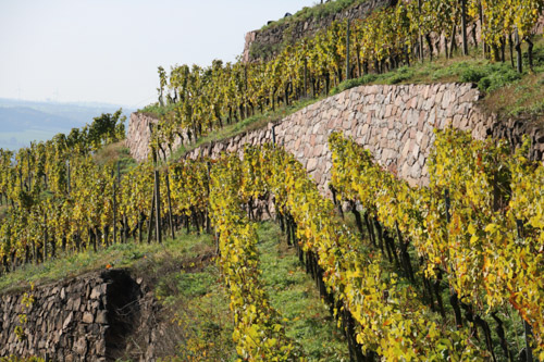 Herbst am Spitzhaus, Radebeul